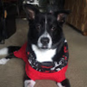 Meet your Posher, Tuong